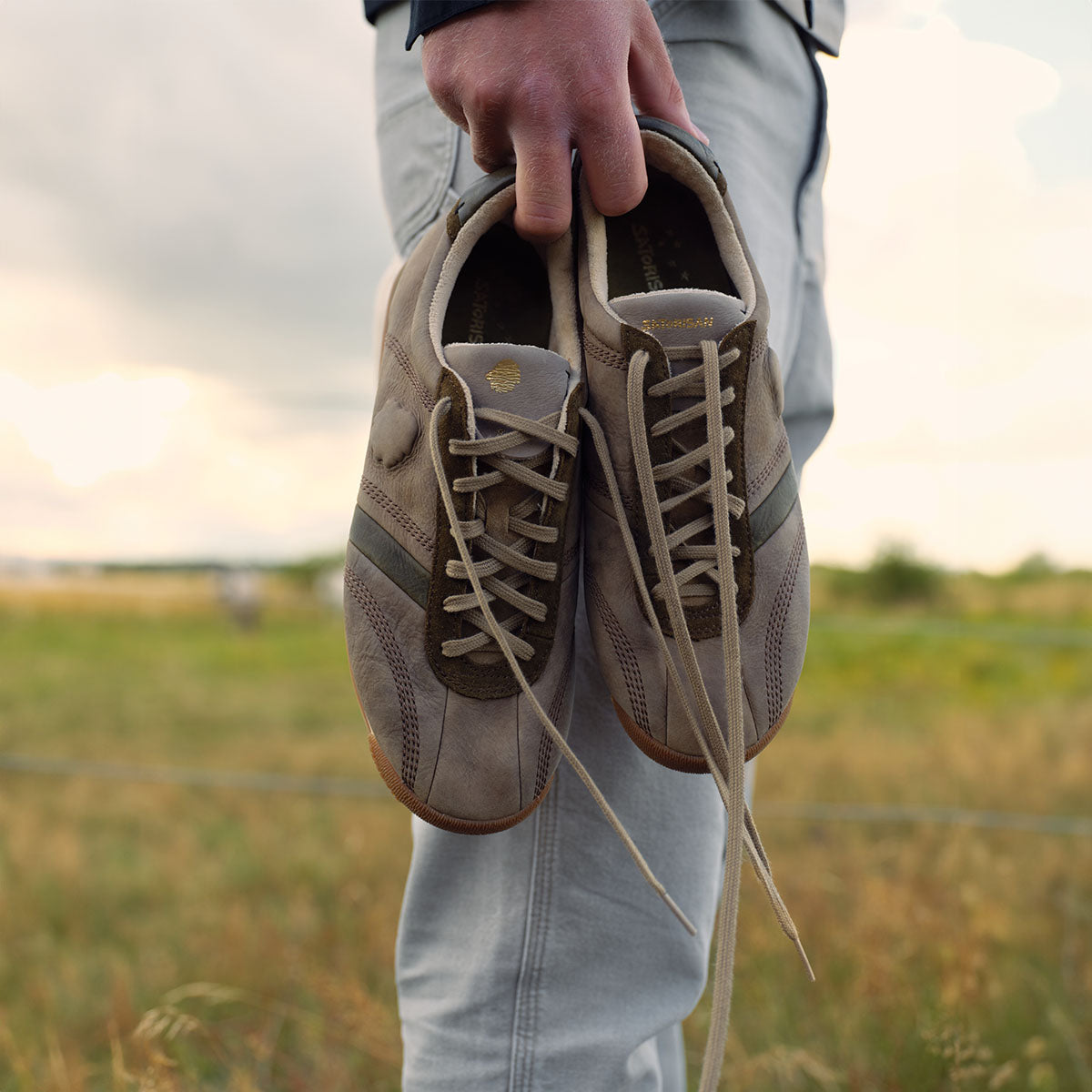 Stardust Premium | Loden