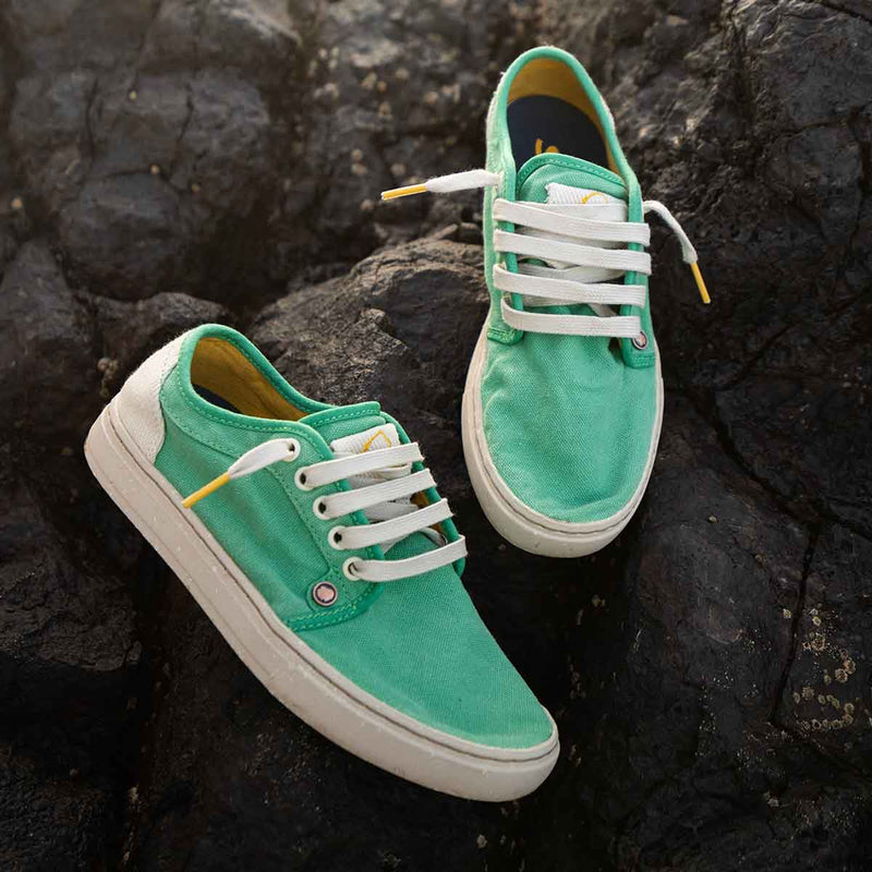 Heisei Gaia Terra.2 | Aloe vera
